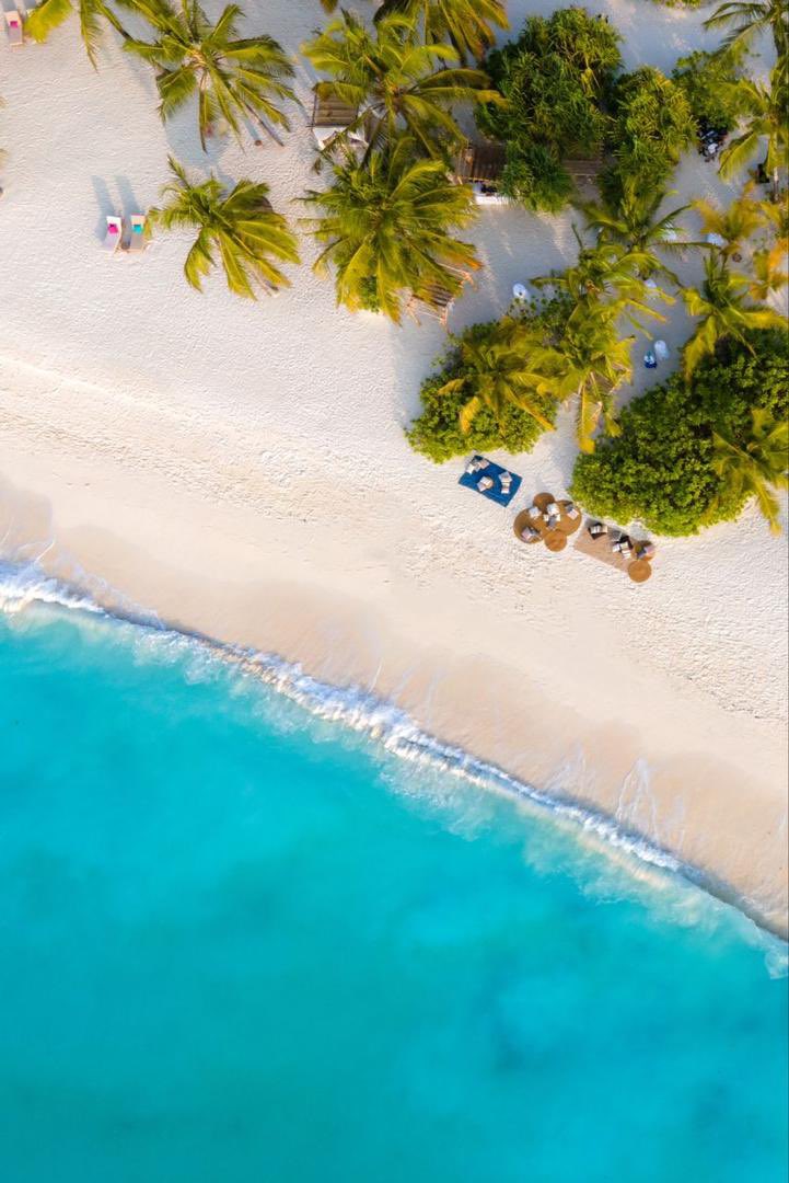 SafariGateway_'s tweet photo. Gateway Safari is a popular choice for those seeking tranquility, peace, and privacy in Zanzibar.
#VisitWithUs https://t.co/FWcUfHRmyP
