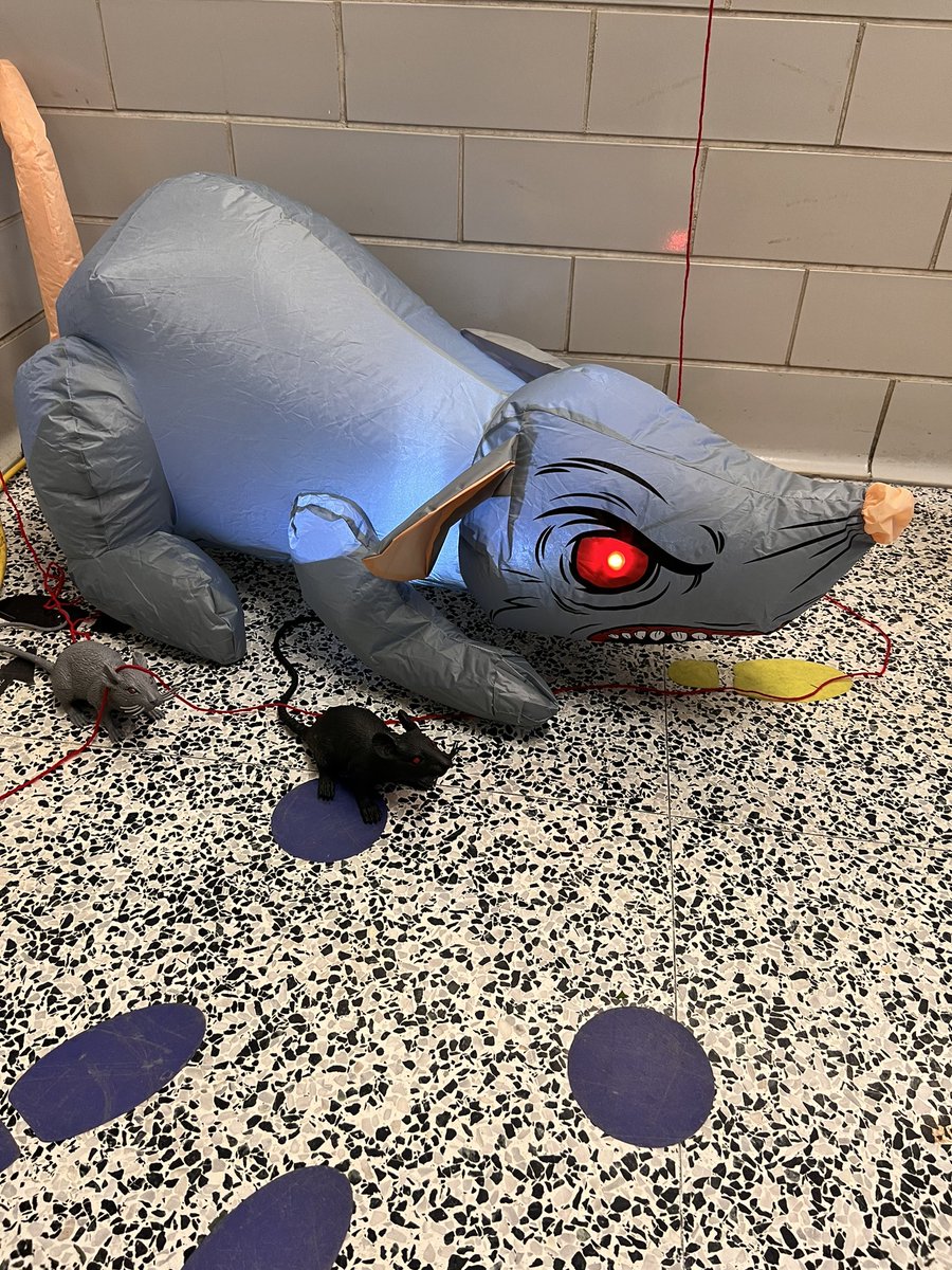 CassieSmolen tweet media