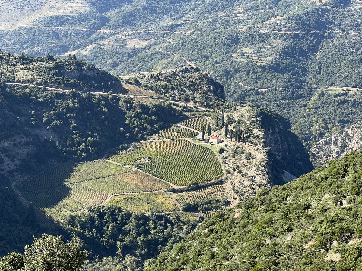 bonkowskimw's tweet image. Aigialeia is hard to spell but easy to love. 
Perched 1000m above the Gulf of Corinth, it makes Greece’s cool-climate white wines from Roditis, but also has a range of other goodies: red Mavrodaphne, obscure Sideritis, 🍊 wines and so on. 

#mastersofwine #mwpeloponnesetrip
🇬🇷