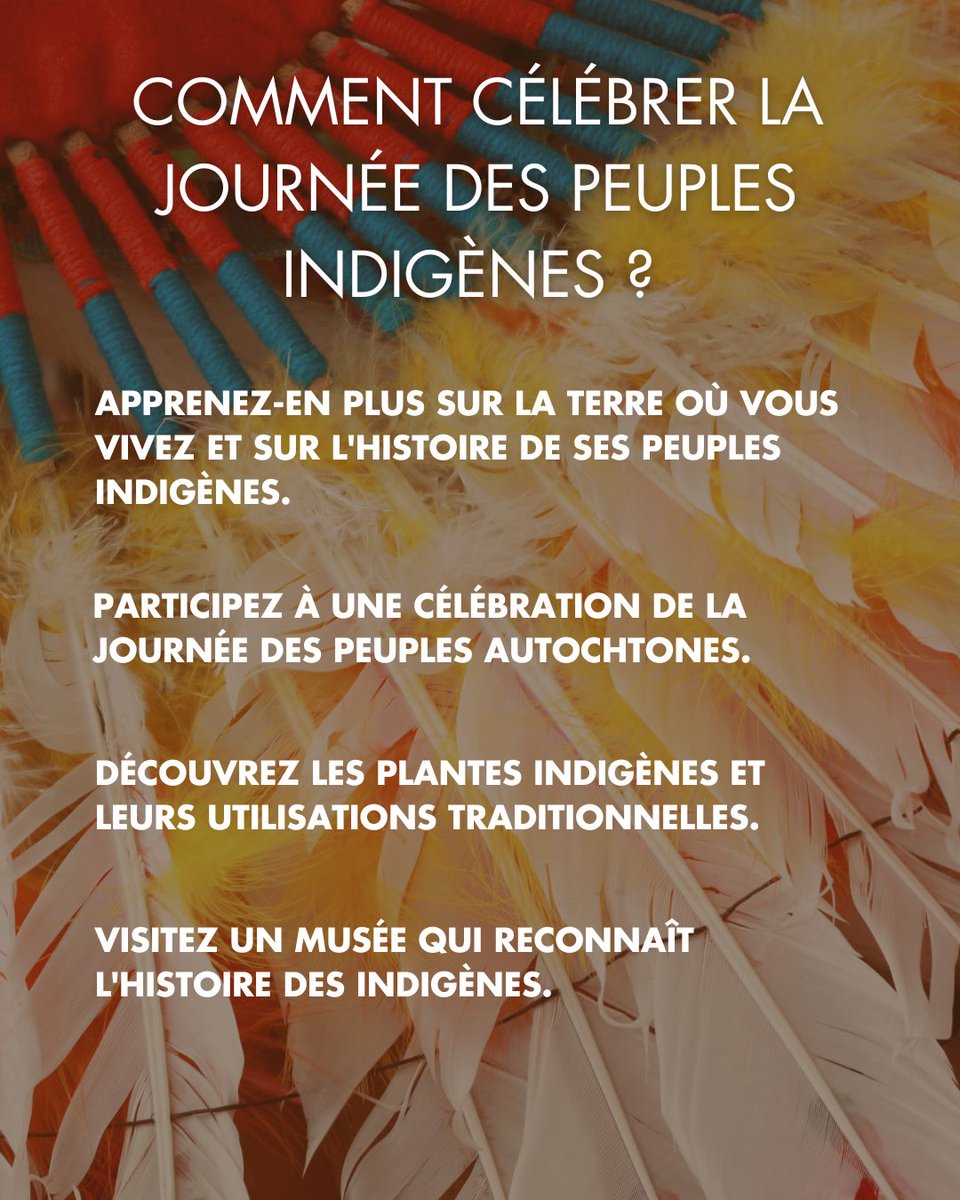 anewdayottawa's tweet photo. Today, we honour and celebrate Indigenous Peoples Day. It's a day to recognize the immense contributions and sacrifices made by the Indigenous peoples of our nation.

#IndigenousPeoplesDay #HonorOurIndigenousPeoples #RespectIndigenousCultures #CelebrateIndigenousRoots https://t.co/2EEQAKczFl