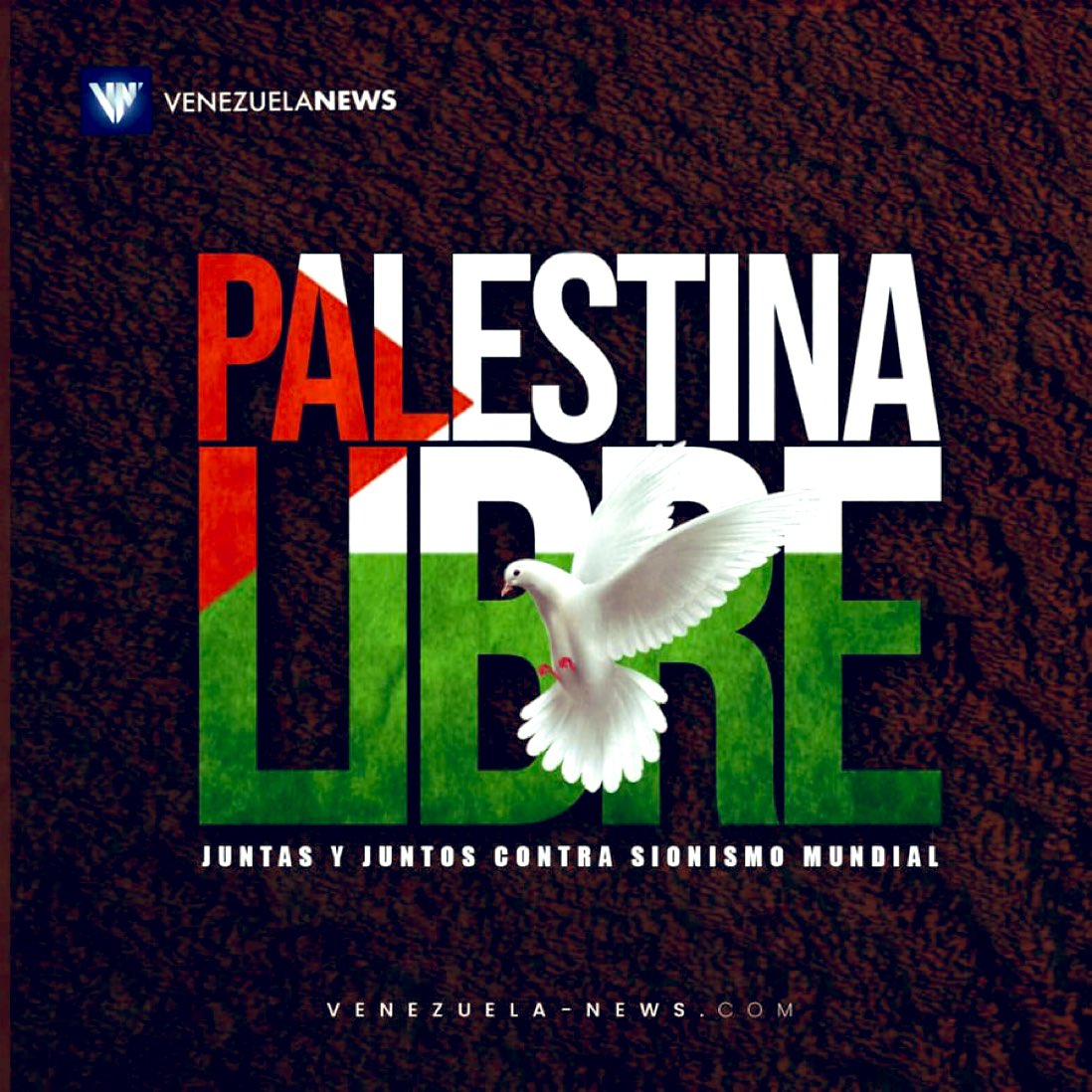 Palestina no inició una guerra contra Israel, el régimen sionista está masacrando al pueblo palestino desde hace 75 años bajo el silencio cómplice de la ONU