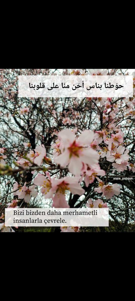 03_sultanata's tweet photo. 🌼🌼 https://t.co/ZbJpuP2bae