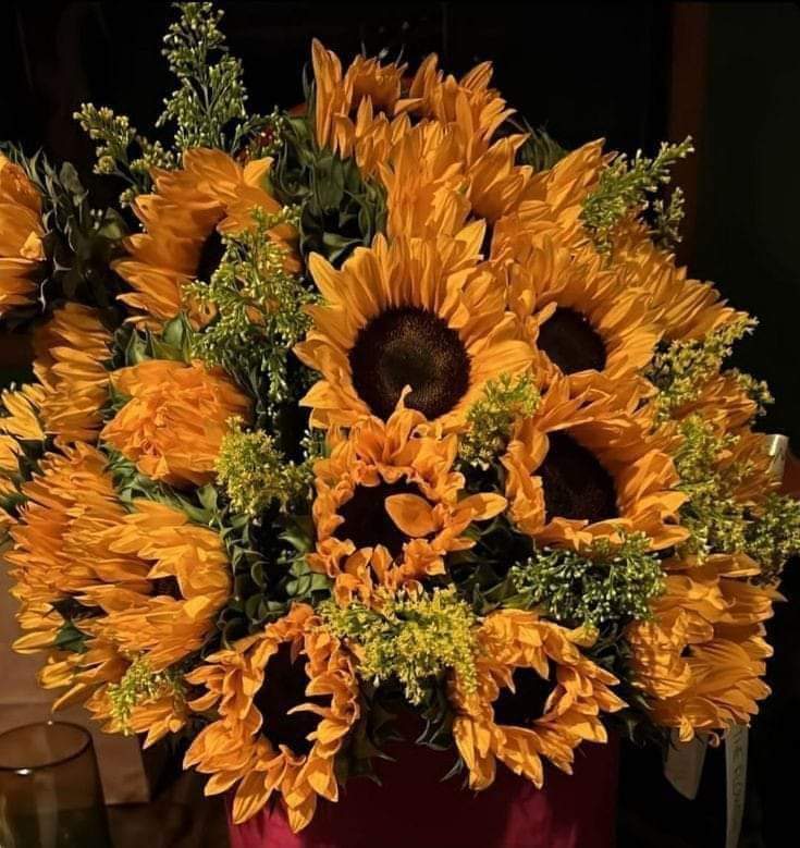 Sunflower0tw's tweet photo. Sunflower 🌻🌻 https://t.co/DUlluYw2xA