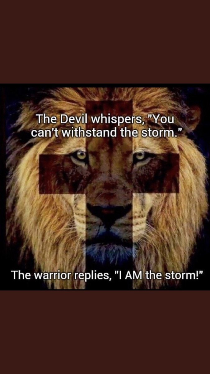 We are warriors for Christ. Remember that you are the storm and that no weapon formed against you shall prosper. #Israel #Stand #WeWillNotBeSilenced #OneMillionSouls  revivalnow.com