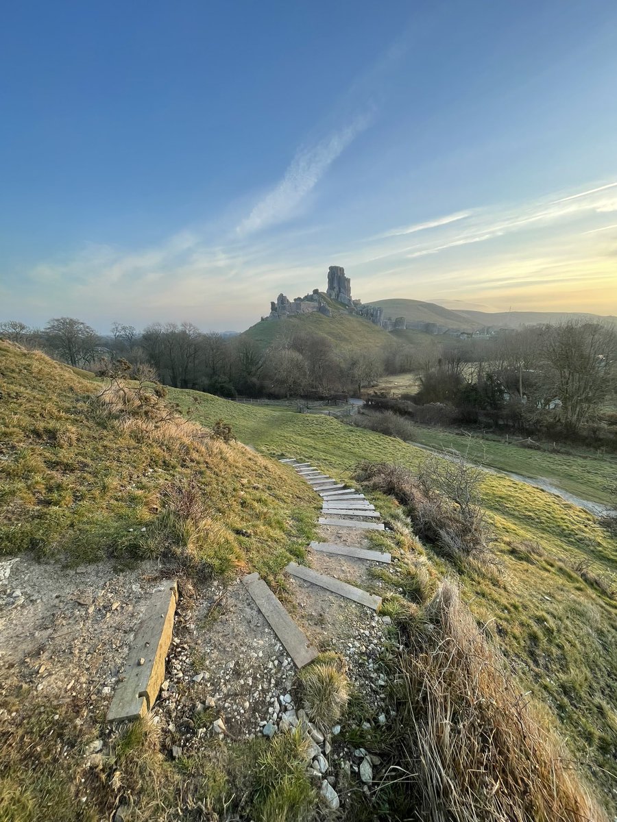 𝐌𝐚𝐭𝐭 𝐏𝐢𝐧𝐧𝐞𝐫 tweet media