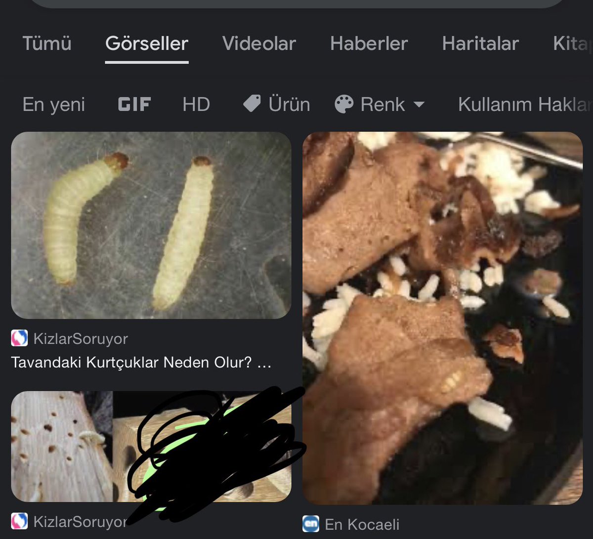 AytajGarayeva's tweet photo. @taarlanrasulov Bunlar lap xırda olurlar xarab olmuş ətə fln düşürlər. Çooxx iyrənirəm🤢 indi şəklinə belə zülümlə baxdım🤢🤢 https://t.co/DAb1y9NV4c