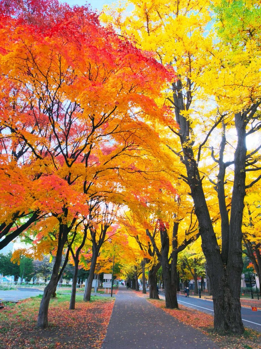 Beautiful 

(📷Pinterest)