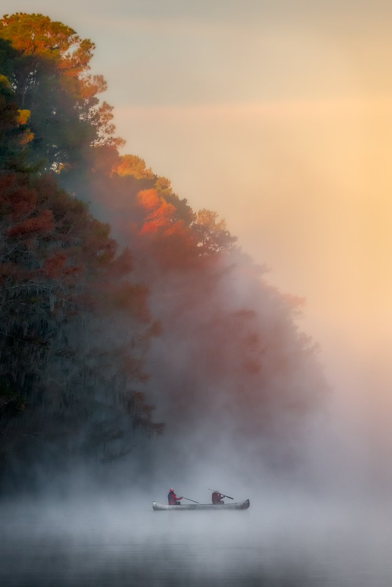 KennethLerose's tweet photo. Swamps can be so pretty 🍁 https://t.co/Mq8OmKnoED