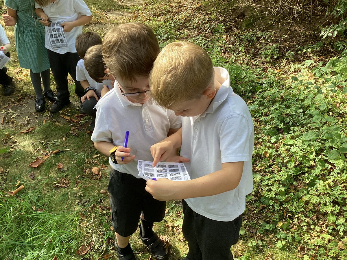whcps's tweet photo. Great #whcoutdoorlearning in Year 2 today. We conducted a pond survey and assessed the pond habitat on our site. We created tally charts,drew concept maps and enjoyed the sunshine! I #whcscience #whcmaths #whcyear2 πͺ°πͺ²π¦πΎ https://t.co/JHNmM6x4oj