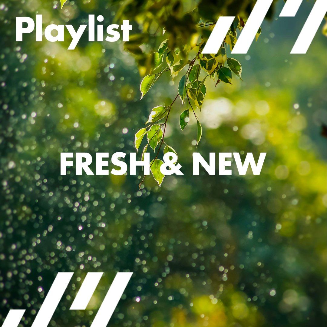 Discover the latest music from our independent artist community thanks to our Fresh &amp; New playlist ⭐️

Explore it now on our website: bit.ly/48NwIfu

#jamendo #independentartists #musiclovers #newmusic #musicdiscovery