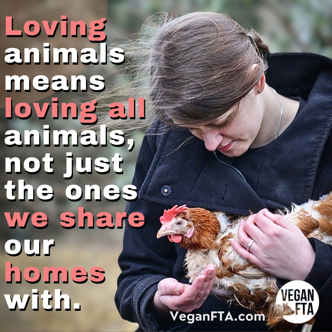 teamveganfta's tweet photo. Living vegan is the only way to live in line with your morals when it comes to the treatment of others! 🙌

📷 Jo-Anne McArthur / #unboundproject / @WeAnimals

👉 Sign the Pledge to Be Vegan for Life: https://t.co/z4BfTGhnGJ 

#vegan #animals #animalrights #chicken #animallover https://t.co/dbtJw7zm3C