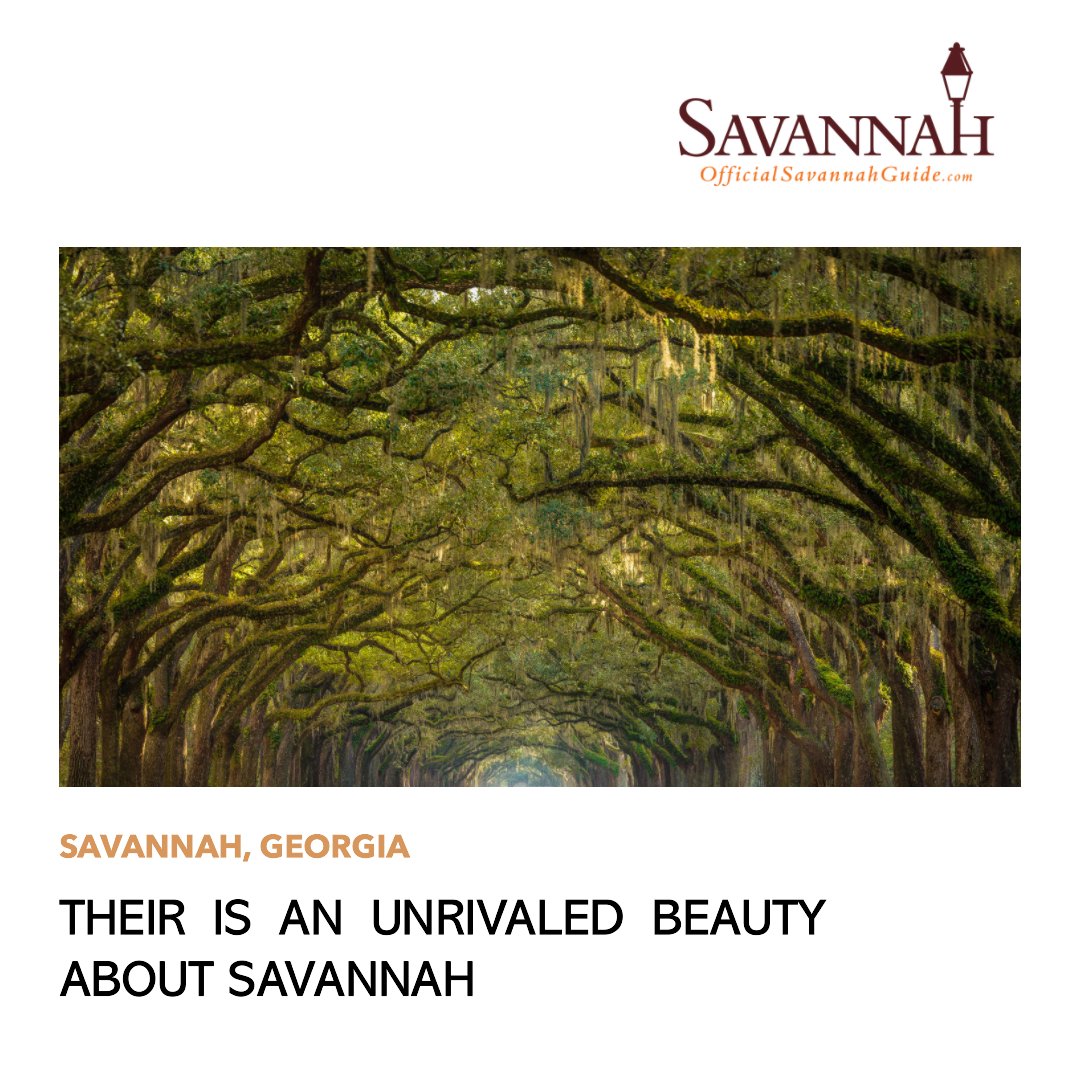 There is an unrivaled beauty about #Savannah - Simply put, there is no place like our beautiful city.