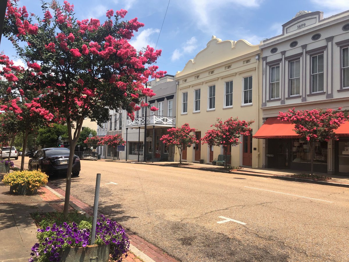 visitnatchez's tweet photo. World Atlas just named Natchez one of "11 Prettiest Towns in Mississippi"...do you agree?

#VisitNatchez #NatchezMS #Natchez #BeautifulCity #VisitMississippi https://t.co/dmJGd8mzUh