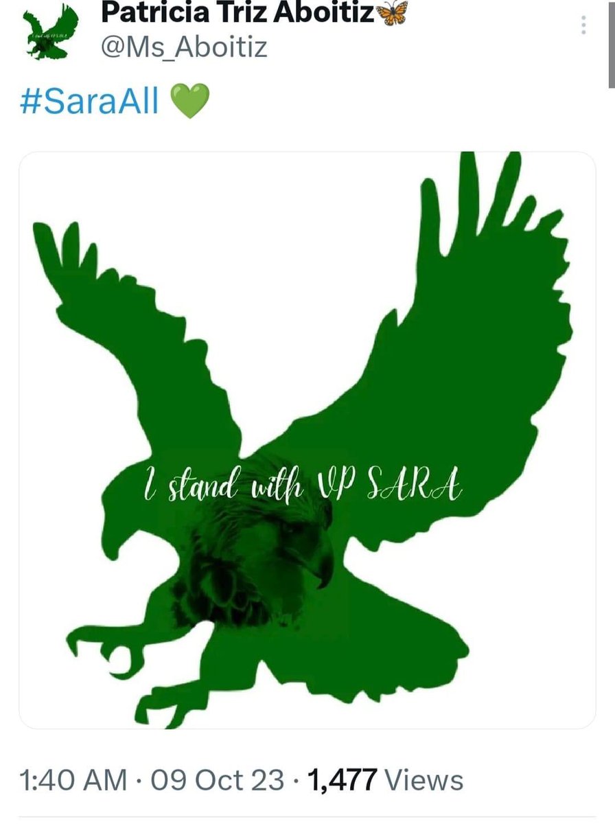 Only the eagle fly above the storm.🦅

I stand with VP Sara.👊

#SaraAll