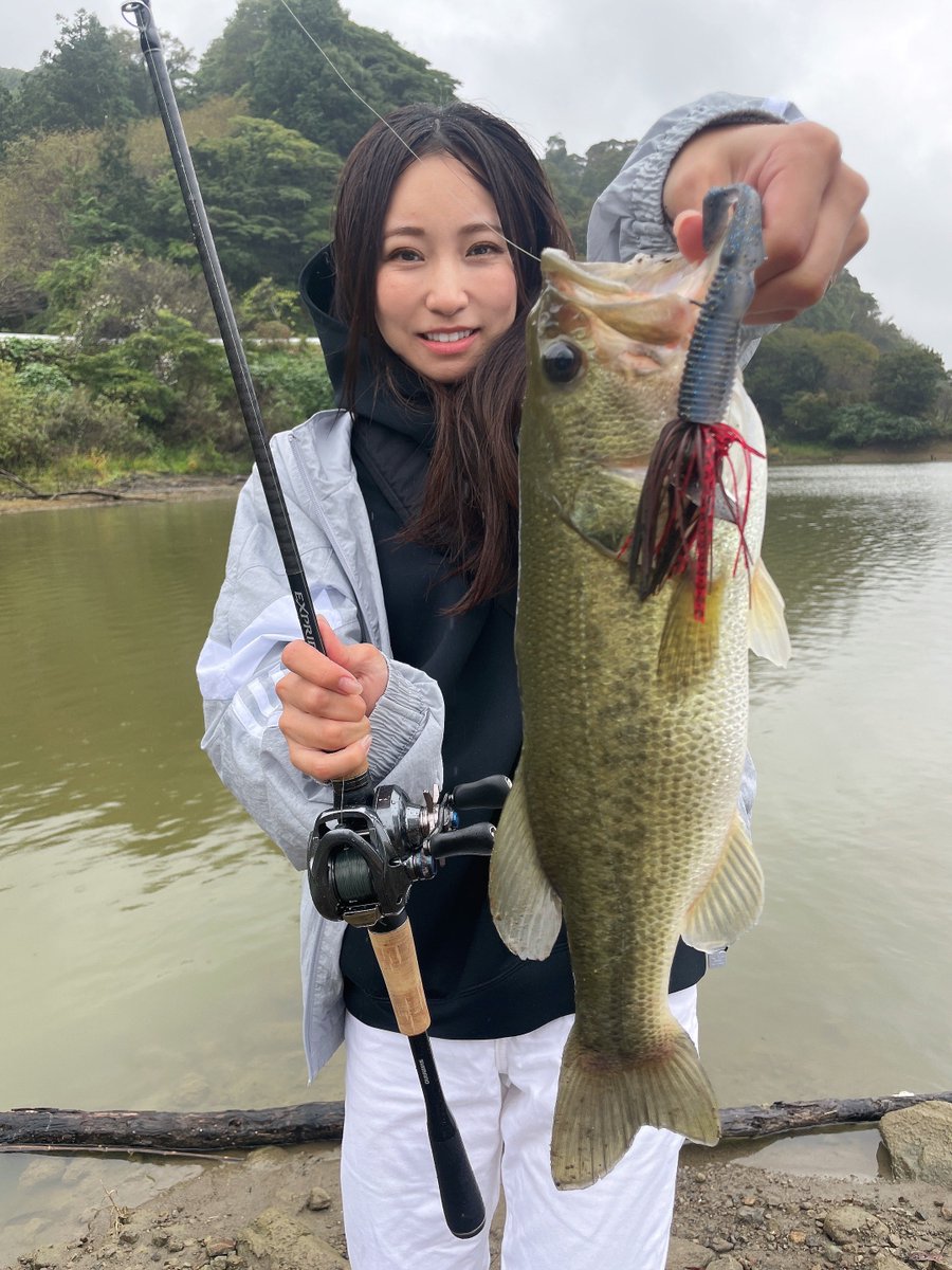 いっちー (@itchii__) / Posts / X