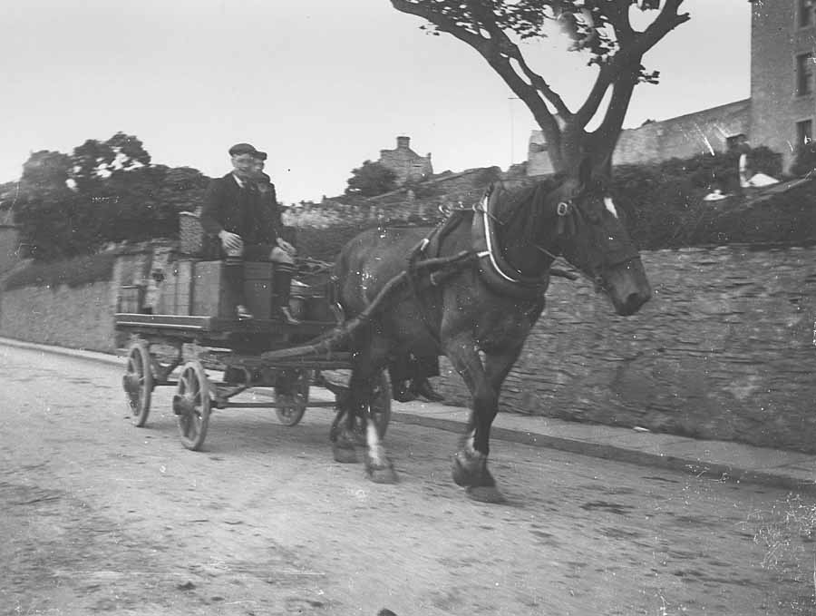 It's a little known fact that back in the old days in #Orkney we had special horses with antlers that grew like trees. 

#PhotographicArchives