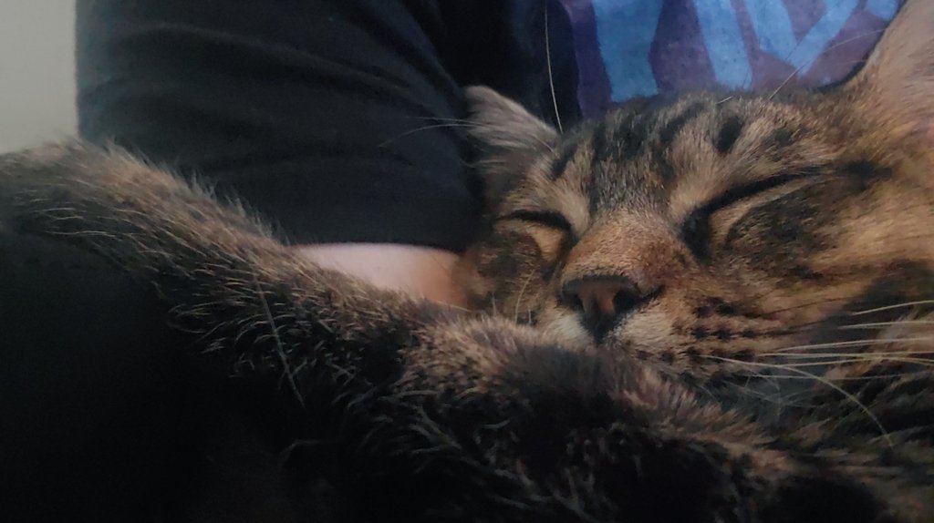 MagicBananazzz's tweet photo. Just an eepy boy https://t.co/md25BdgDKK