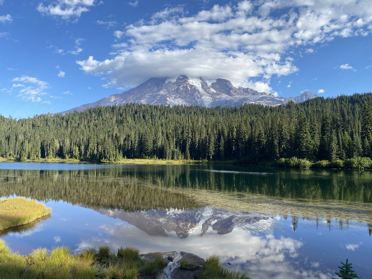 Veena Dubal tweet media