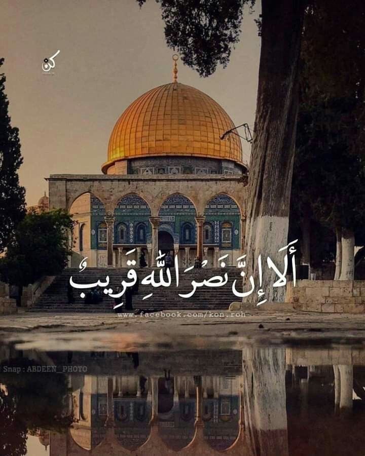NJ10iii's tweet photo. "أُذِن لِلّذِينَ يُقَاتلُونَ بِأَنّهمْ ظُلِمُوا وَإِنَّ اللَّهَ عَلى نَصْرهمْ لَقَدِير". https://t.co/NGNPNb54qW