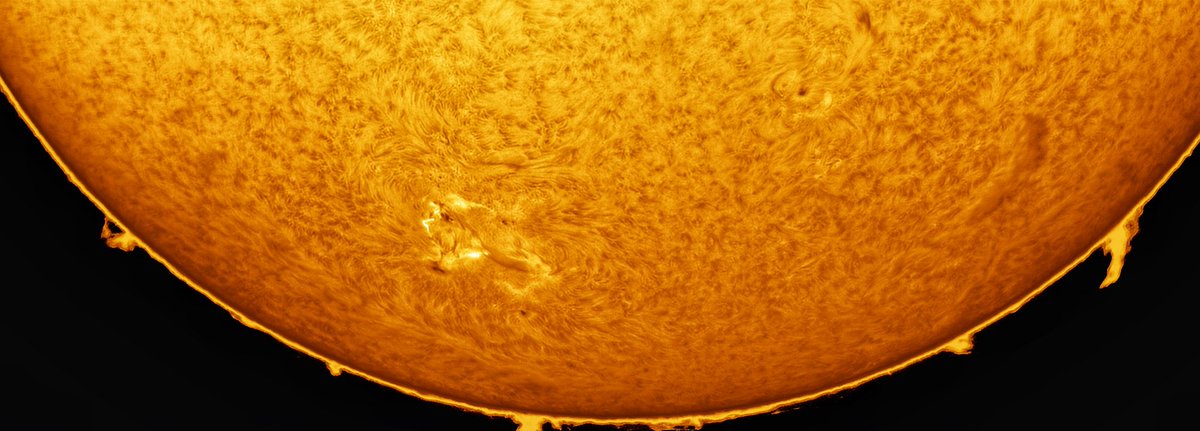 Dr. Peter 🐦 tweet media