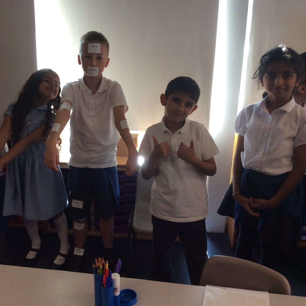 gfprimarycov's tweet photo. In Science, 3L Birch Class have been learning about some of the different bones in the human body. They had to work in teams to label the bones on their friend. It was very tricky with lots of new bone names to remember. #GFScience #GFY3 #teamwork https://t.co/uSBr4AfmlY