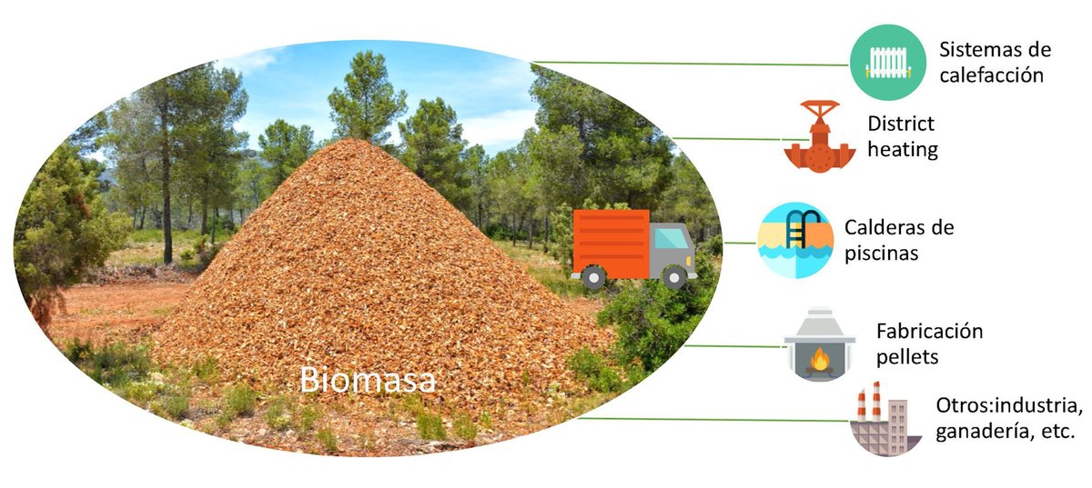GO Smart-Forestry está desarrollando un modelo de potencial #aprovechamiento de la #biomasa forestal en la Región de Murcia con el que los propietarios y gestores puedan conocer la cantidad de biomasa aprovechable en el #monte.
<a href="/Agrinnova1/">Agrinnova</a>
<a href="/Selvicultores/">Selvicultores</a>
<a href="/PEFCSpain/">PEFC España</a>
<a href="/redPAC_/">Red PAC</a>