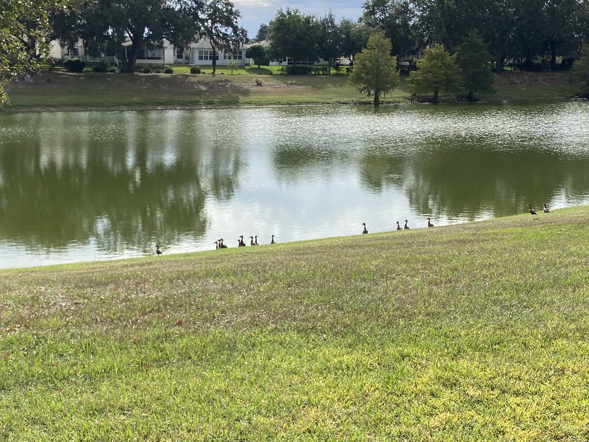 keto_mandy's tweet image. Day 1 of #75hard workout 1
3.61 miles run. 62°f and sunny. #running #5ktraining #runningcommunity #RunningMindset #fitover40 #runningmotivation #mondayrun