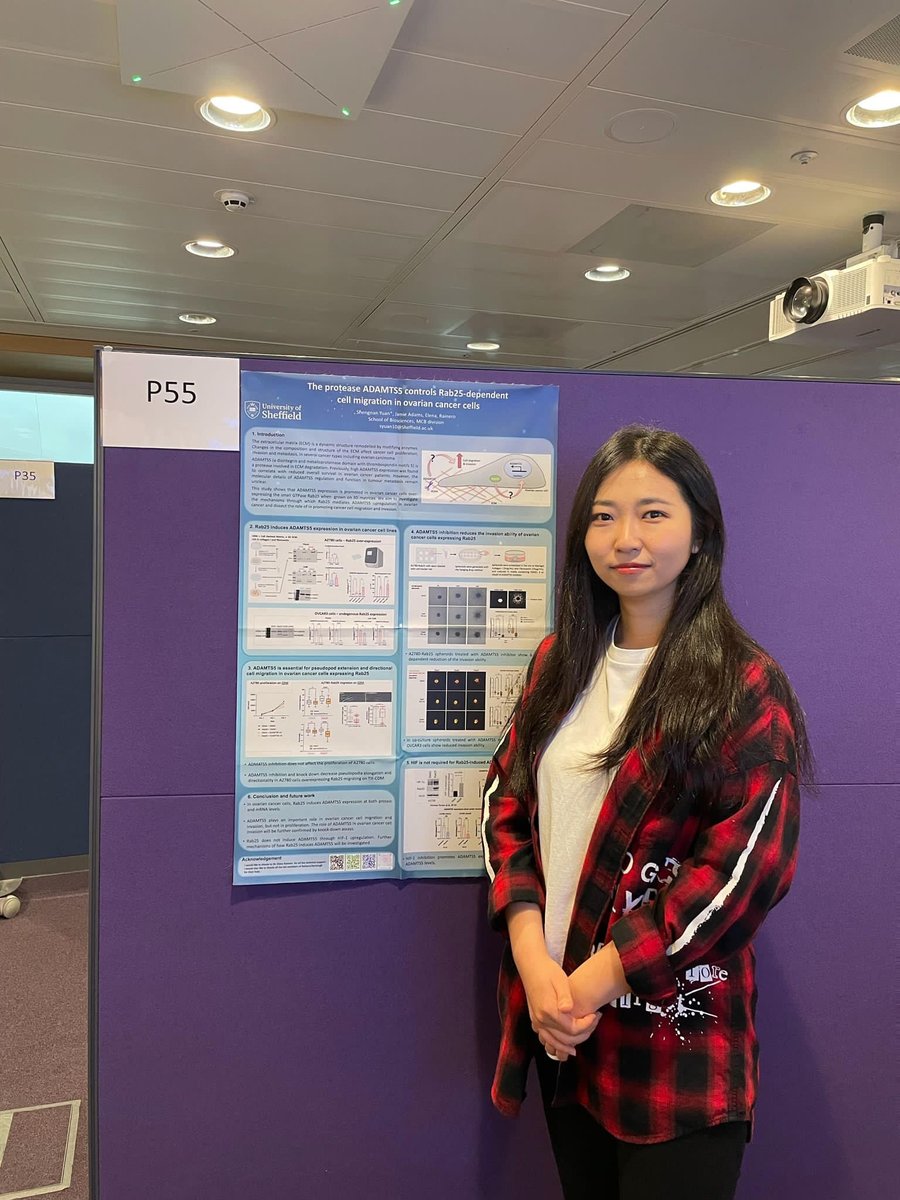 ERainero_lab's tweet photo. Sherry and Zhe are presenting their work today at the #CrickCancerConf. Have a chat at their posters, we'd love your feedback and thoughts!!! @MCB_Sheffield https://t.co/RdBqKvtDiP