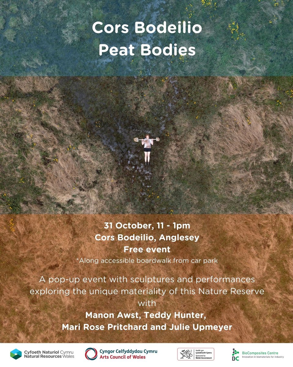 Visit anytime 11am-1pm and discover quite different interpretations of peatland! A fascinating experience for all ages; safely along this nature reserve’s accessible boardwalk. #CorsBodeilio #Talwrn #nature #art @manonawst @_teddyhunter @plasbodfa @Arts_Wales_ @BCBangor