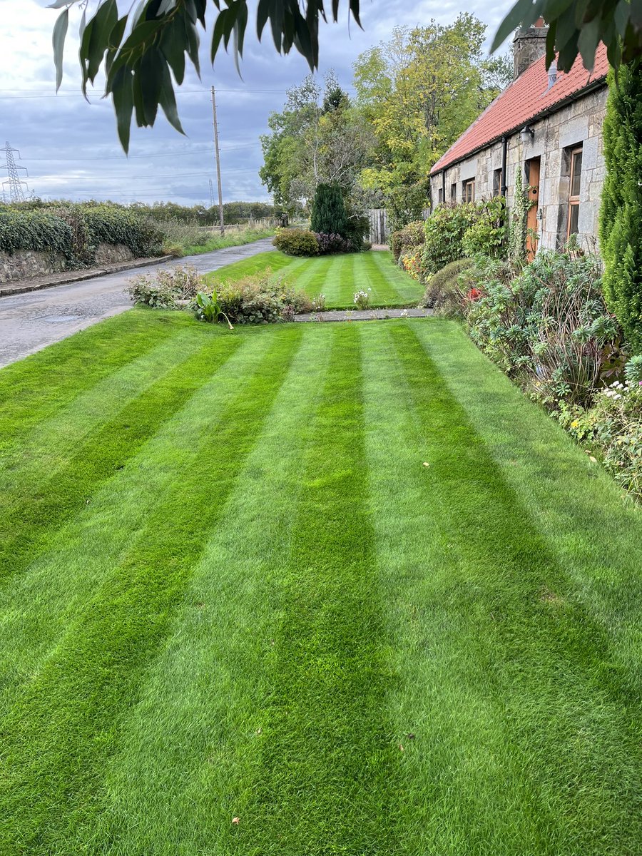 StevenP57077680's tweet photo. We have had non stop rain for a week and have had an infestation from hell of leatherjackets just started to get some recovery so it’s the best I can do just cut it while it’s still dry here’s my entry for #patchoftheweek @mowermanjimmy https://t.co/fhhoWmQPl8
