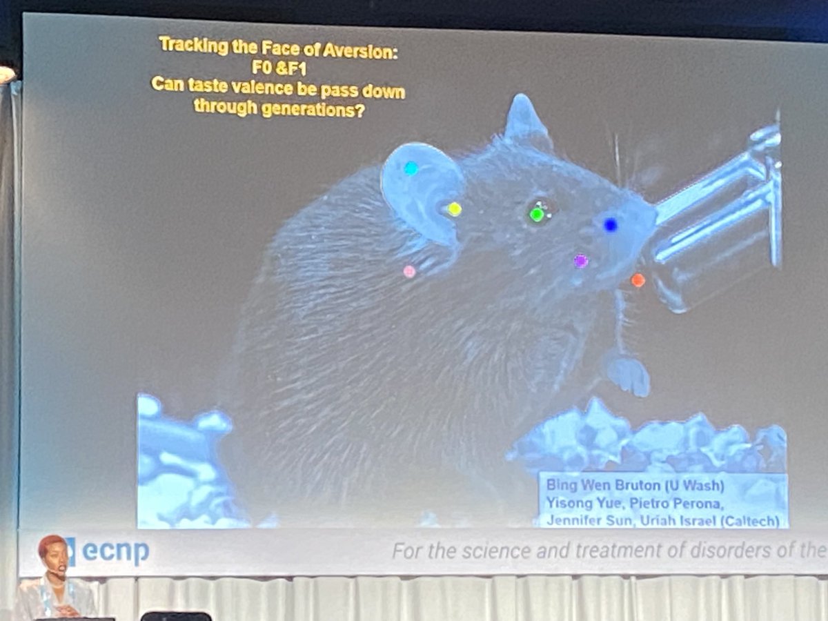 Amazing work by Bianca Marlins lab about transgenerational transmission of experience - Bianca illuminates how the exposome is heritable- presented at ECNP - check it out!