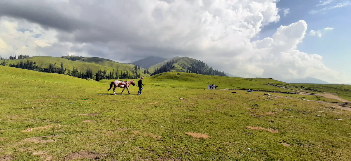 LifeLensScape's tweet photo. Exploring the lush greenery of Paye Meadows with my trusty steed..
#PayeMeadows #Traveldiaries #Pakistan https://t.co/HuPup3AoM0