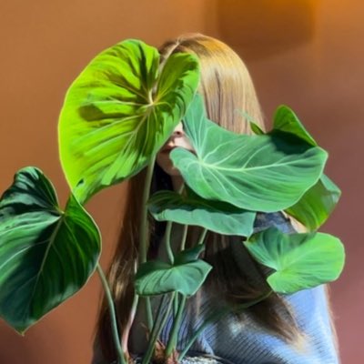 themildginger's tweet photo. #NewProfilePic https://t.co/4XiS7jJkXb