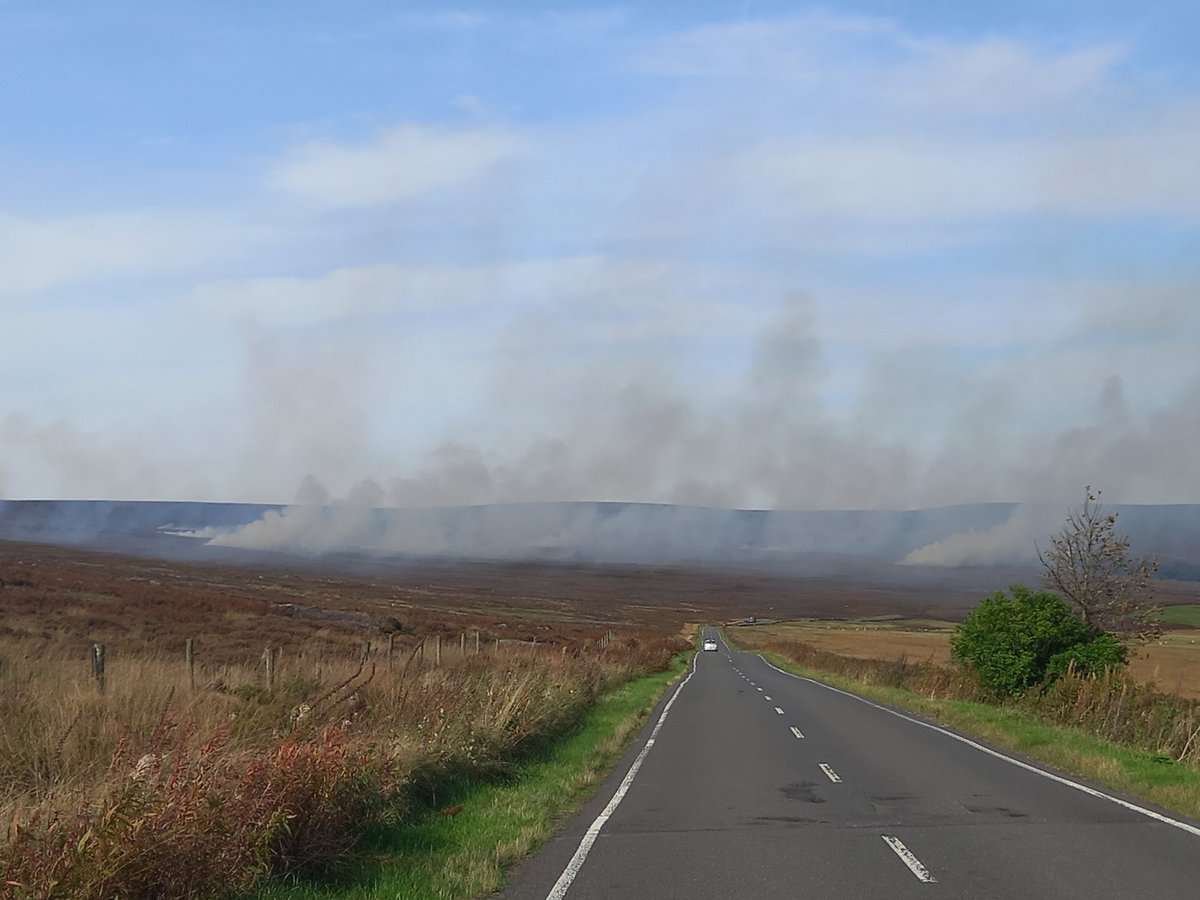 Liz Ballard (Sheffield & Rotherham Wildlife Trust) tweet media