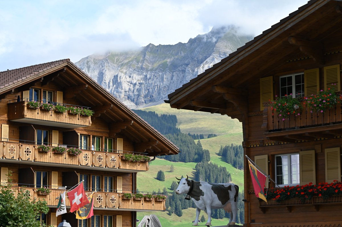 Kafka_project's tweet photo. @Morgane_Fo has written a blog post about our lab retreat. Want to know more about what we did in Adelboden? Check it out! 👉👉👉https://t.co/bYk7zaTd3Y https://t.co/huM5oujyEy