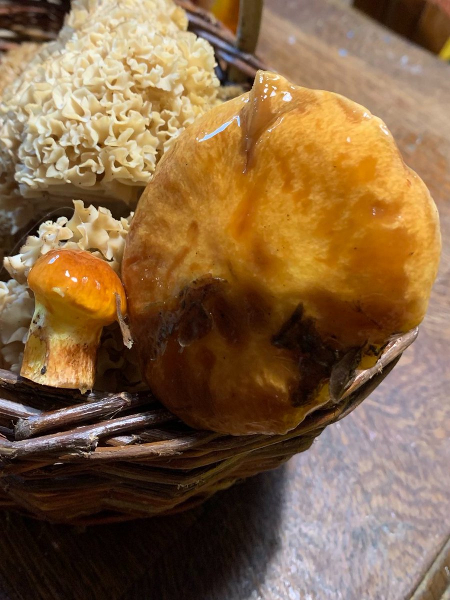 Franz Heitzendorfer tweet media