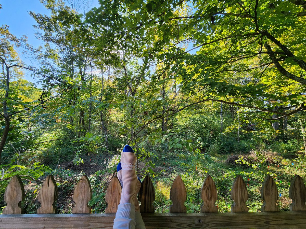 GM. What if we just all decided to choose calm, reason, positivity, and productivity today?