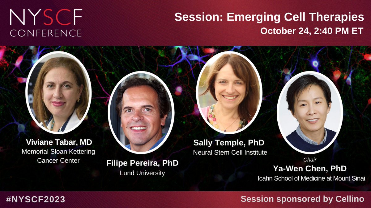 What are the next cell therapies to hit the clinic? Join #NYSCF2023 to hear from experts on the latest preclinical and clinical results of cell engineering and regenerative approaches across Parkinson’s, cancer, and retinal disease: conference.nyscf.org