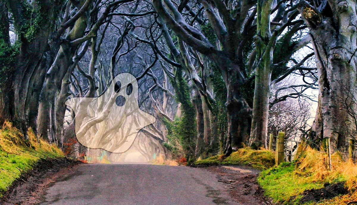 It's nearly that time of year again. The Dark Hedges at Halloween. #DarkHedges #Ghost #Halloween #Scared #NotScared @LoveBallymena  😱🎃🦇☠️