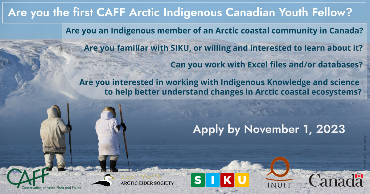 Conservation of Arctic Flora and Fauna (CAFF) (@caff_arctic) on Twitter photo Are you the first CAFF Arctic Indigenous Canadian Youth Fellow? Apply by Nov. 1 caff.is/pinpublication… <a href="/ArcticEider/">Arctic Eider Society</a> <a href="/ICC_Canada/">ICC Canada</a> <a href="/SIKUApp/">SIKU</a> Are you the first CAFF Arctic Indigenous Canadian Youth Fellow? Apply by Nov. 1 caff.is/pinpublication… <a href="/ArcticEider/">Arctic Eider Society</a> <a href="/ICC_Canada/">ICC Canada</a> <a href="/SIKUApp/">SIKU</a>