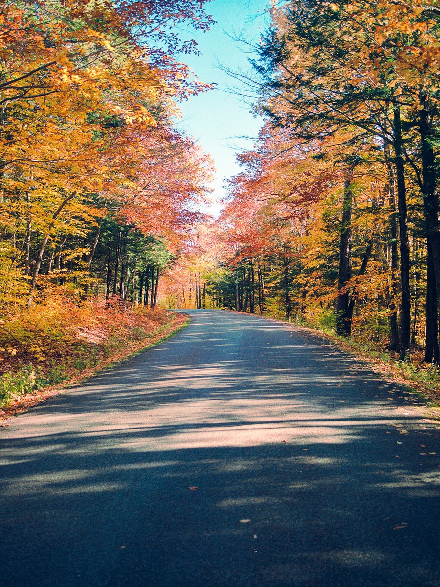 nev_in_color's tweet photo. Autumn in the Catskill Mountains. https://t.co/OBRvl5jZLL