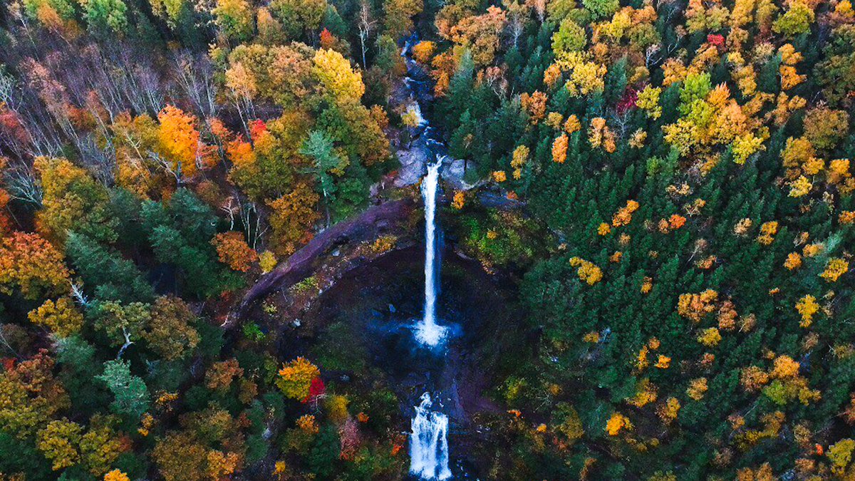 nev_in_color's tweet photo. Autumn in the Catskill Mountains. https://t.co/OBRvl5jZLL