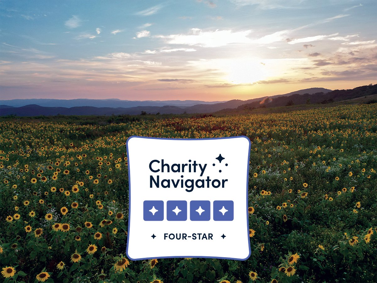 BlueRidgeConservancy tweet media