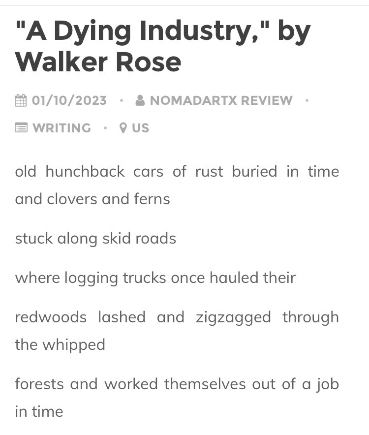 lydia paar tweet media