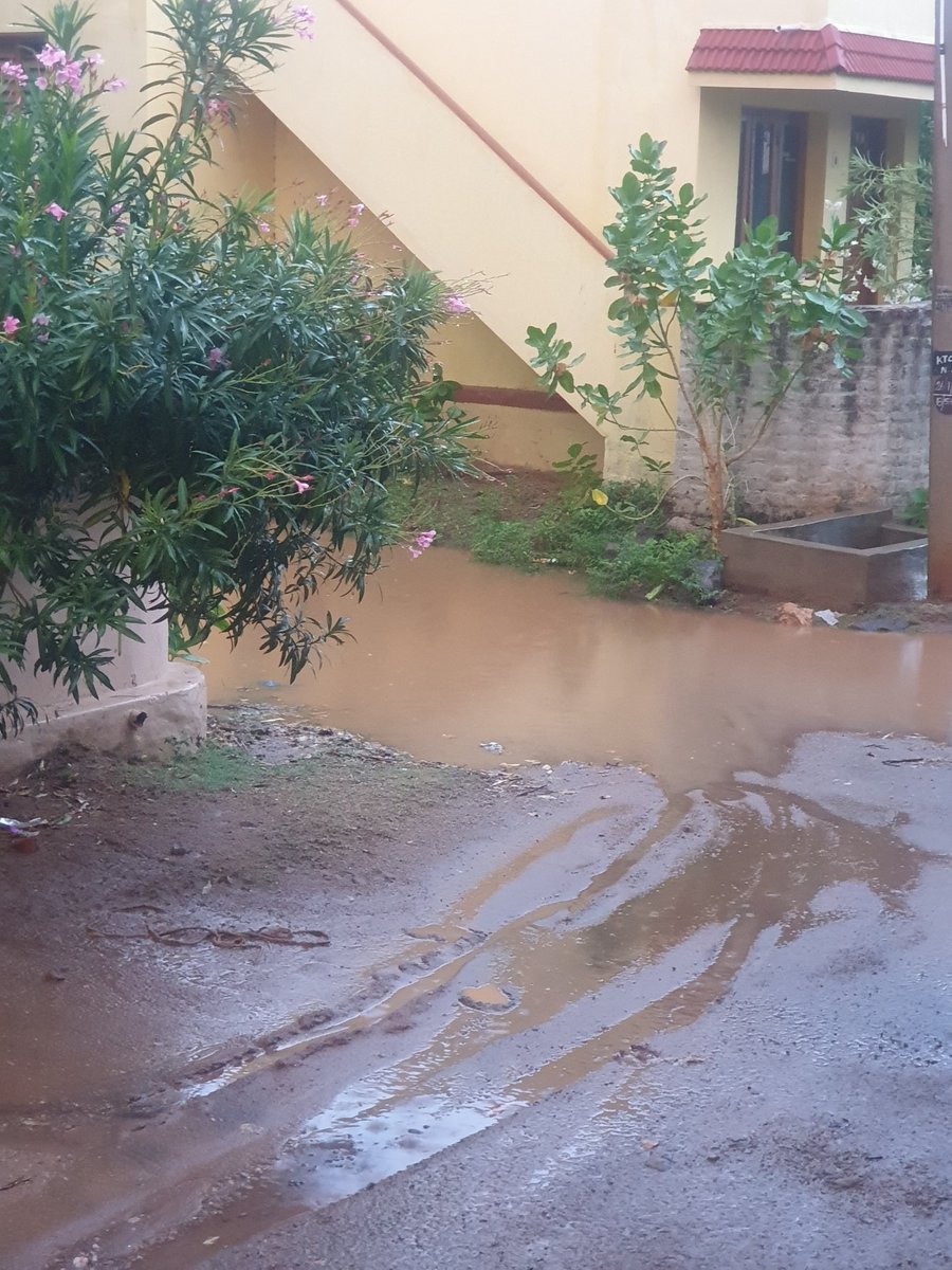 IdolPuny's tweet photo. @ruby_manoharan sir Im from your constituency This is the conditions of our street. Kids and aged persons suffer a lot during rainy days. We trust you can help us pls take action @INCTamilNadu https://t.co/fUdN4avUQO