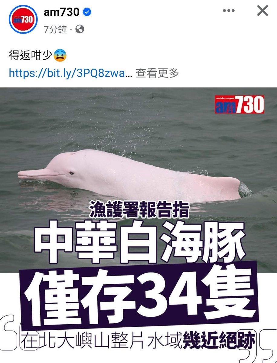 w33391419's tweet photo. 環保有咩用？海豚都俾你哋玩死。整死晒佢哋造成標本放去博物館啦！多元活化呀！ https://t.co/sLkkRIdJnH