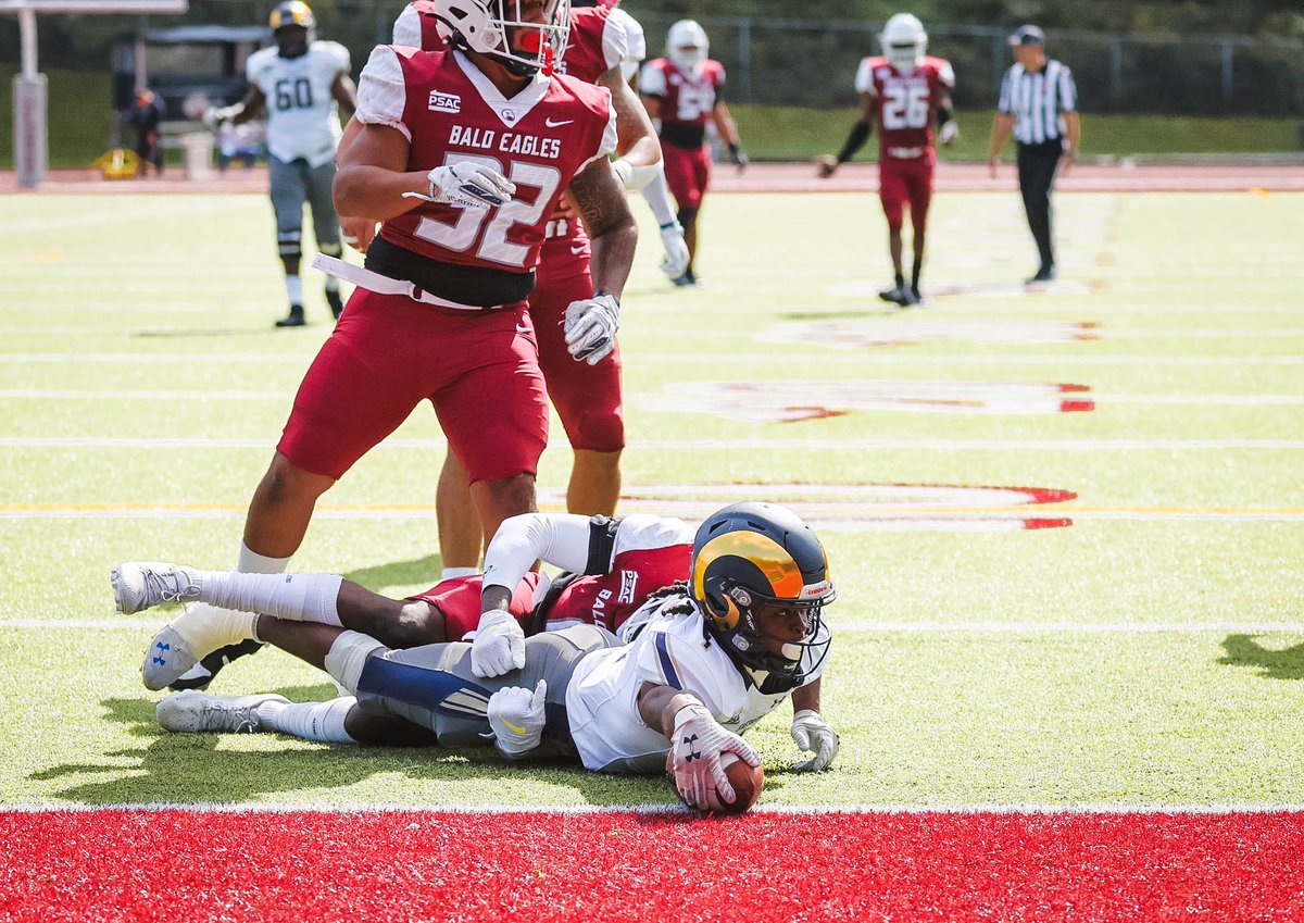 Shepherd Football tweet media