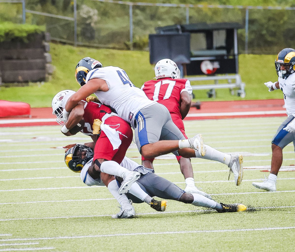 Shepherd Football tweet media