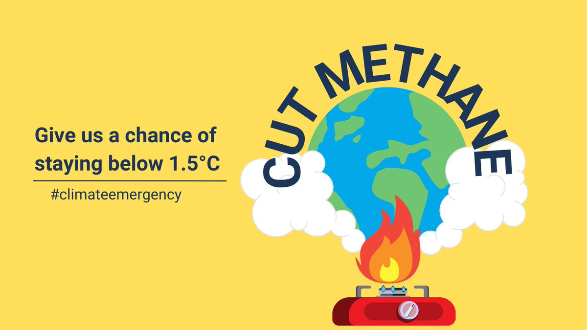 Tomorrow, the EU Council, the Commission, and the European Parliament are discussing the #MethaneRegulation.  
Ask your national representatives to deliver a STRONG regulation that includes STRONG rules to cut methane emissions from EU energy imports! 📩 bit.ly/3PGkSeF