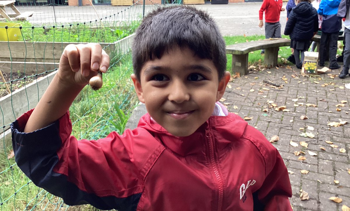 BollinPrim1D's tweet photo. 1D adventured to the allotments this afternoon! 🌱🫘 https://t.co/7BVv2tDnTR